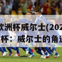 2024欧洲杯威尔士(2024年欧洲杯：威尔士的角逐之旅)