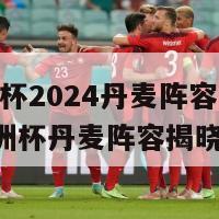 欧洲杯2024丹麦阵容(2024欧洲杯丹麦阵容揭晓)