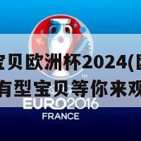 足球宝贝欧洲杯2024(欧洲杯2024有型宝贝等你来观看)