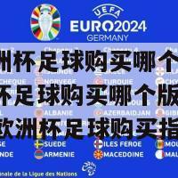 德国欧洲杯足球购买哪个版本(德国欧洲杯足球购买哪个版本  --  德国欧洲杯足球购买指南)