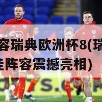 最佳阵容瑞典欧洲杯8(瑞典欧洲杯8最佳阵容震撼亮相)