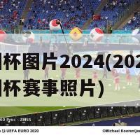 欧洲杯图片2024(2024年欧洲杯赛事照片)