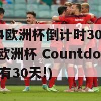 2024欧洲杯倒计时30天(2024欧洲杯 Countdown 还有30天!)